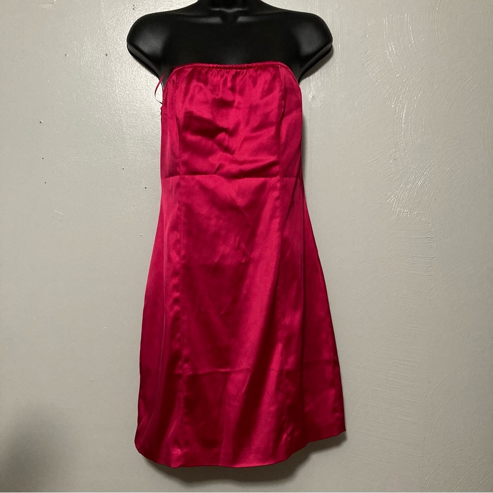 Blush Boutique Hot Pink Strapless Bodycon Mini Dress Bimbo